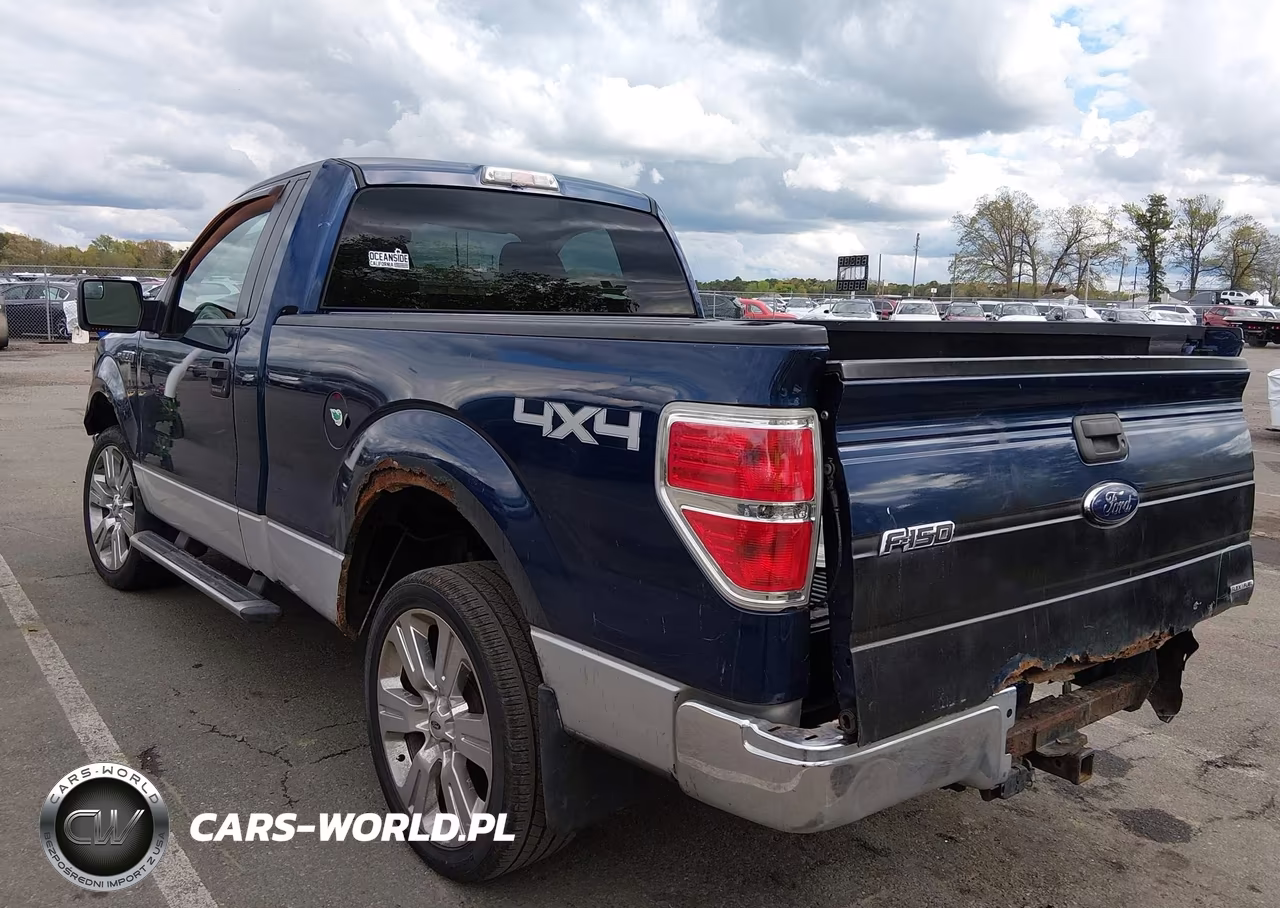 2011 Ford F-150 Xlt VIN:1FTMF1EM0BFB80002 - 3