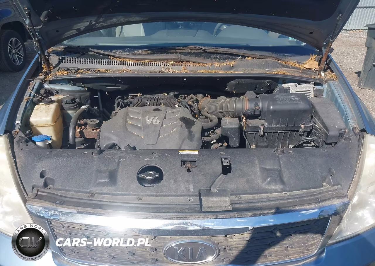 2012 Kia Sedona Lx VIN:KNDMG4C71C6500019 - 10