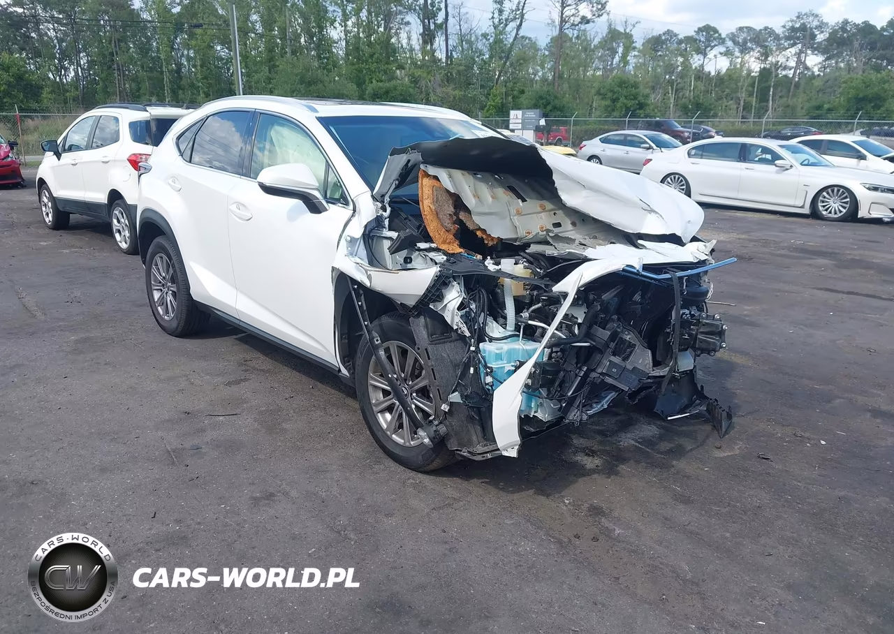 2019 Lexus Nx 300 F Sport