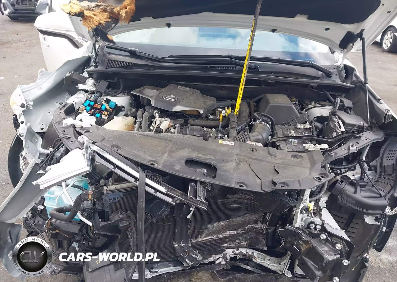 2019 Lexus Nx 300 F Sport VIN:JTJYARBZ3K2138961 - 10