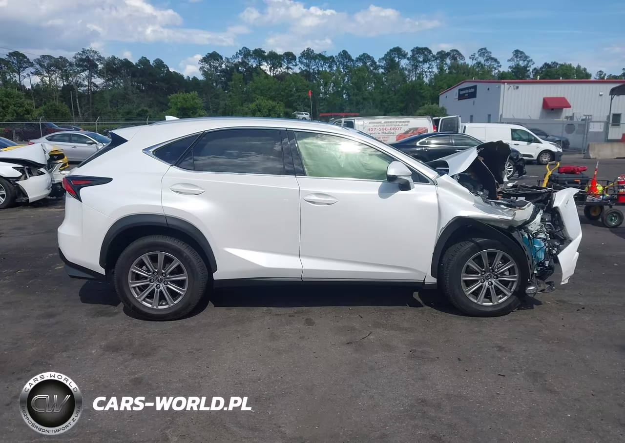 2019 Lexus Nx 300 F Sport VIN:JTJYARBZ3K2138961 - 13