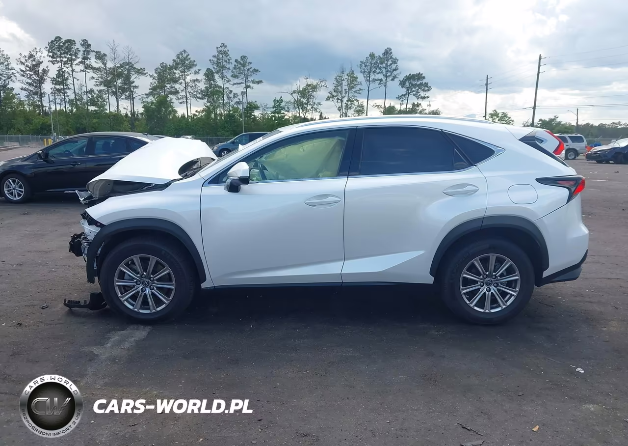 2019 Lexus Nx 300 F Sport VIN:JTJYARBZ3K2138961 - 14