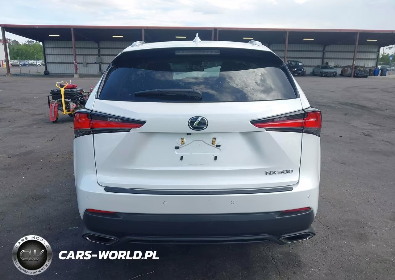 2019 Lexus Nx 300 F Sport VIN:JTJYARBZ3K2138961 - 16