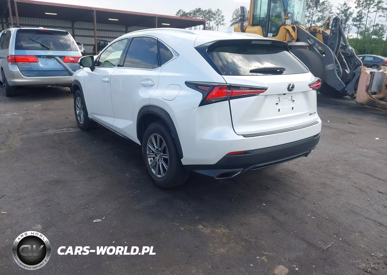 2019 Lexus Nx 300 F Sport VIN:JTJYARBZ3K2138961 - 3