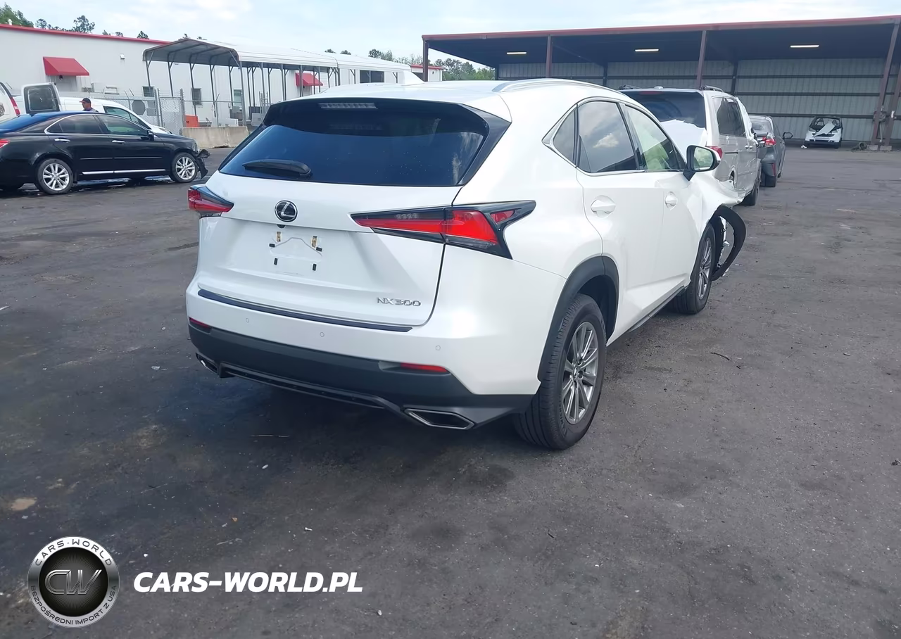 2019 Lexus Nx 300 F Sport VIN:JTJYARBZ3K2138961 - 4