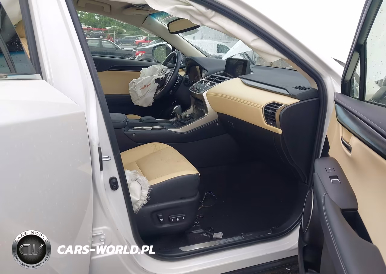 2019 Lexus Nx 300 F Sport VIN:JTJYARBZ3K2138961 - 5