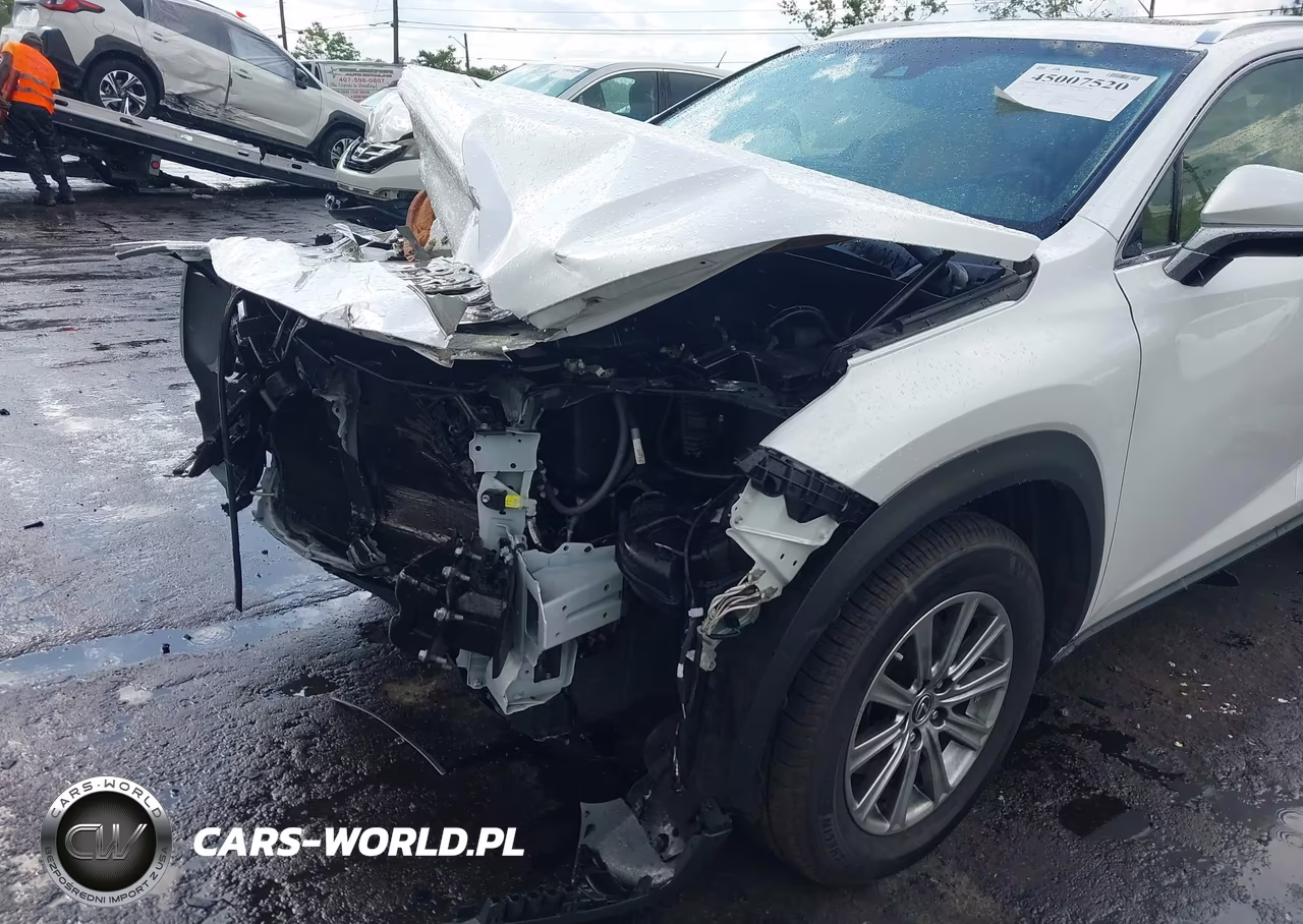 2019 Lexus Nx 300 F Sport VIN:JTJYARBZ3K2138961 - 6