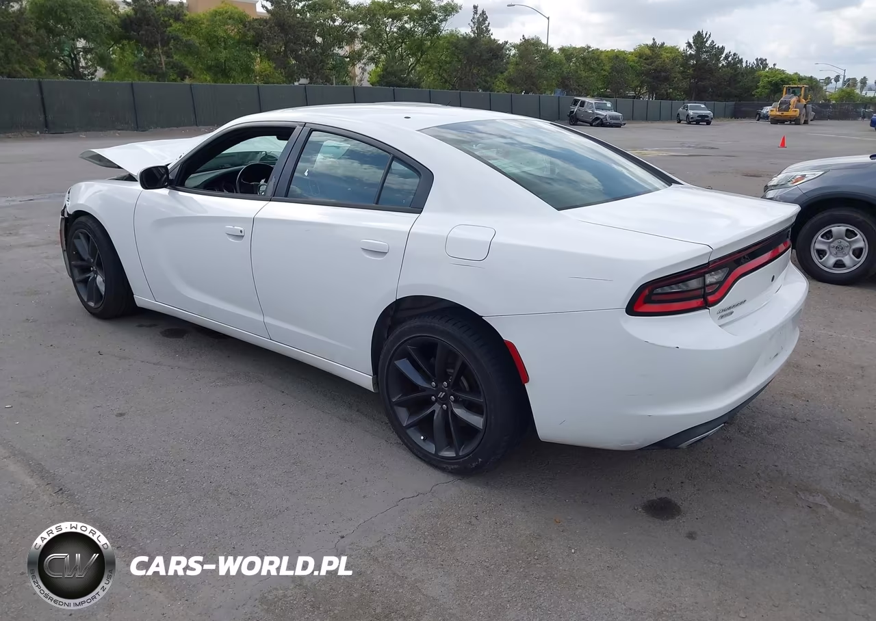 2015 Dodge Charger Police VIN:2C3CDXKT2FH828061 - 3