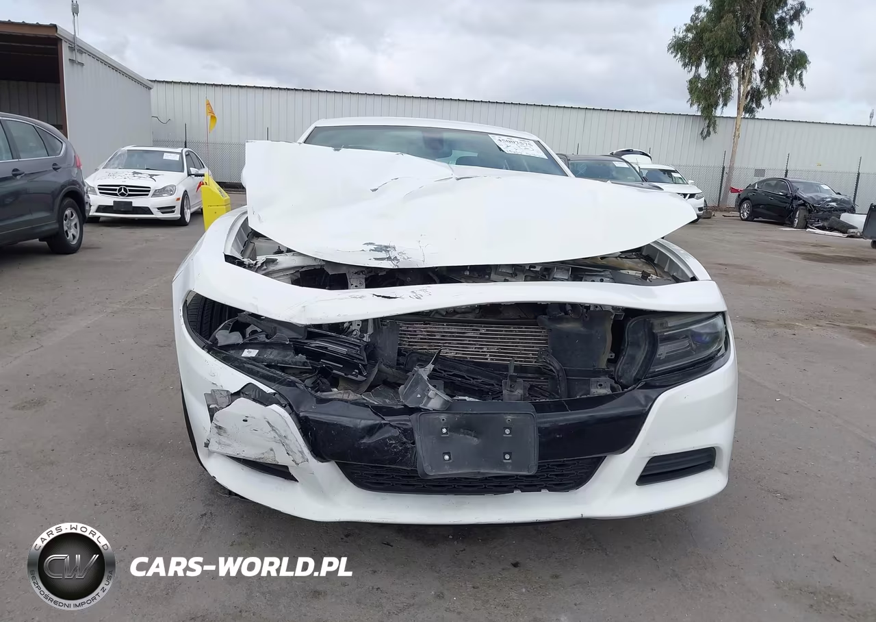 2015 Dodge Charger Police VIN:2C3CDXKT2FH828061 - 6