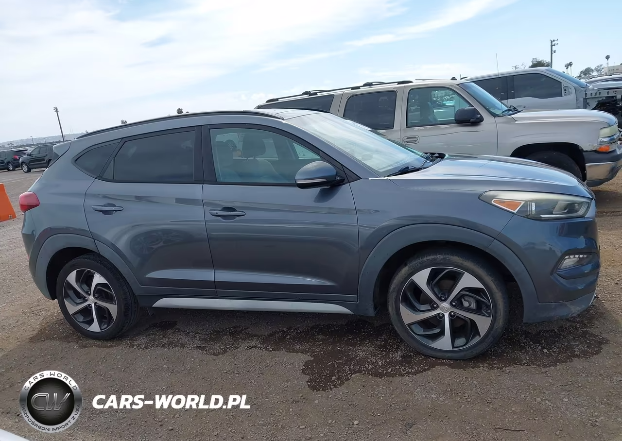 2017 Hyundai Tucson Value VIN:KM8J33A20HU561182 - 13
