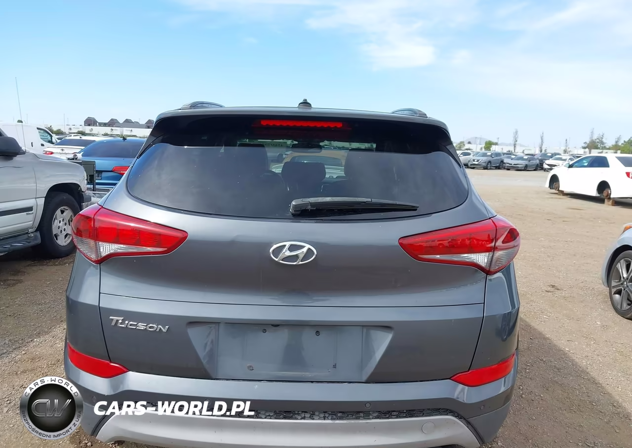 2017 Hyundai Tucson Value VIN:KM8J33A20HU561182 - 16