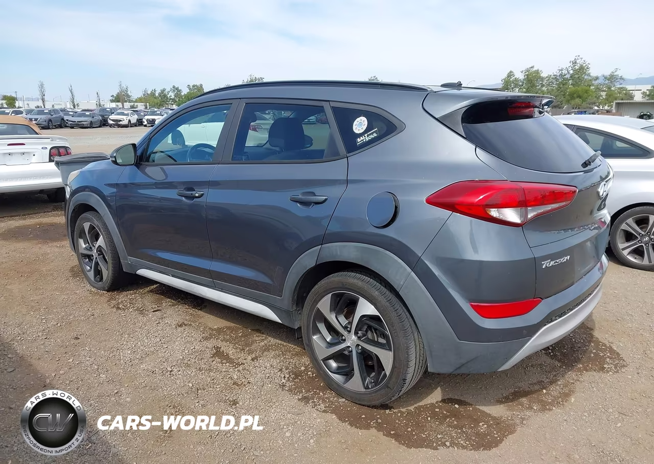 2017 Hyundai Tucson Value VIN:KM8J33A20HU561182 - 3