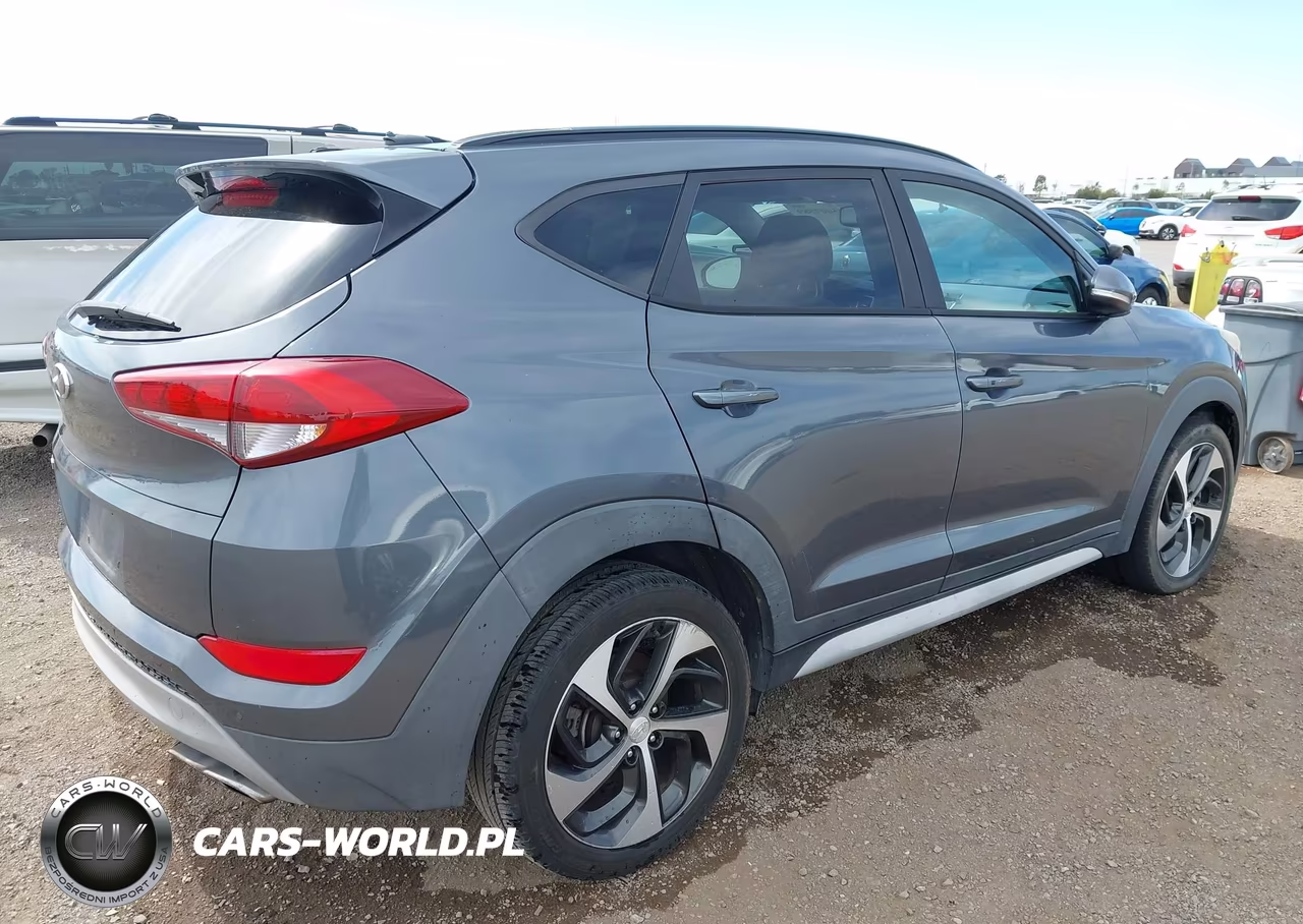 2017 Hyundai Tucson Value VIN:KM8J33A20HU561182 - 4