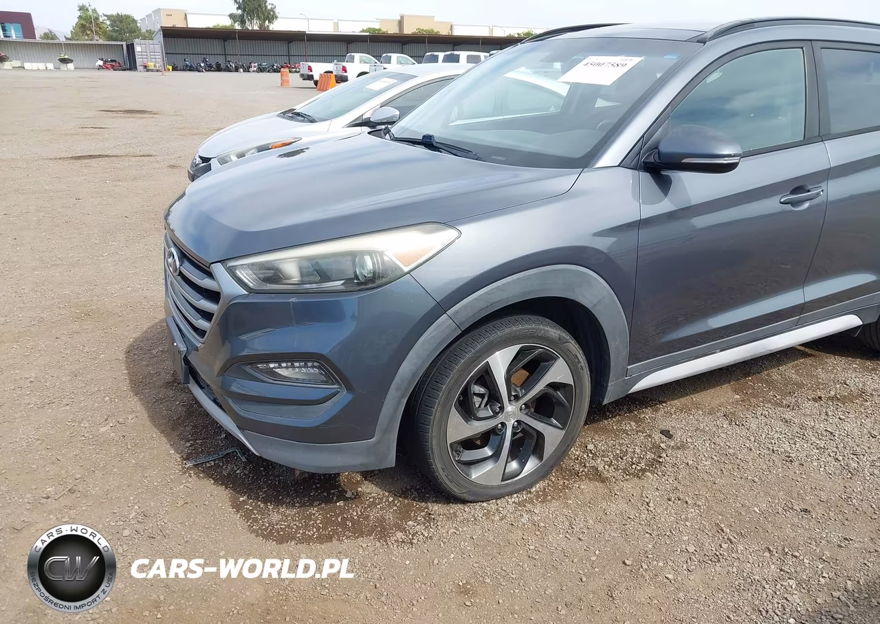 2017 Hyundai Tucson Value VIN:KM8J33A20HU561182 - 6