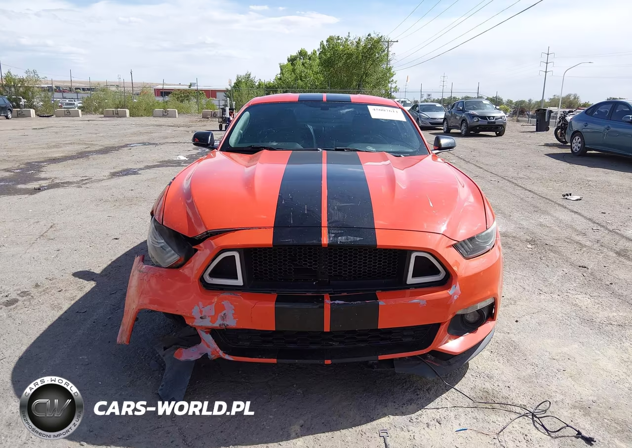 2015 Ford Mustang Ecoboost VIN:1FA6P8TH2F5303336 - 12