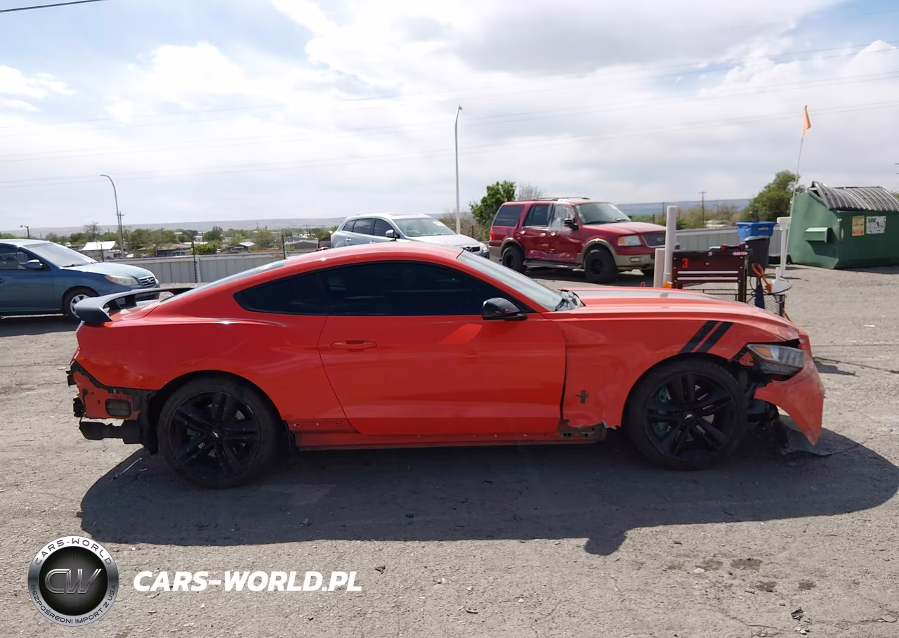 2015 Ford Mustang Ecoboost VIN:1FA6P8TH2F5303336 - 13
