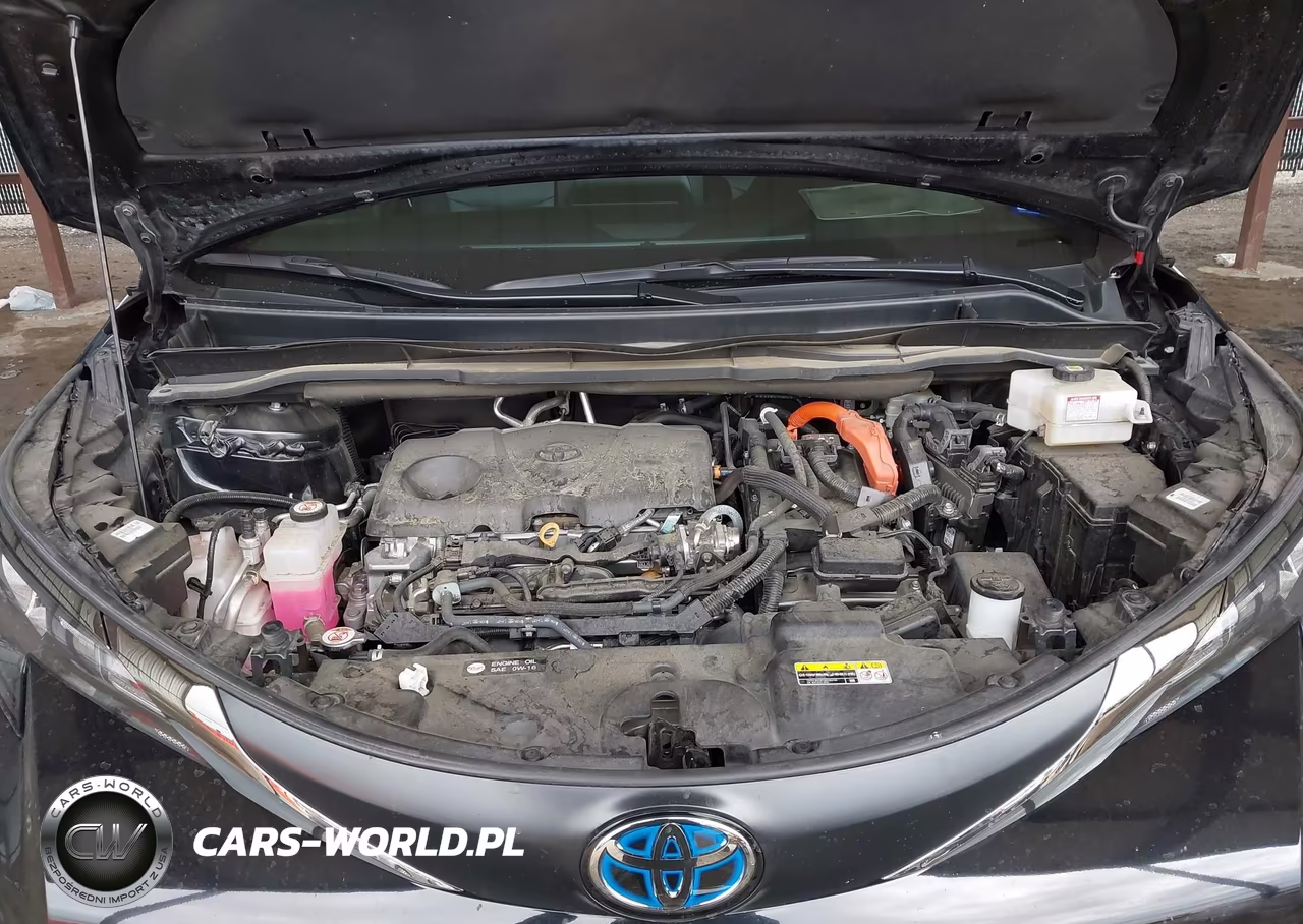 2024 Toyota Sienna Le-Limited-Platinum-Woodland Edition-Xle-Xse VIN:5TDCSKFC5RS113067 - 10