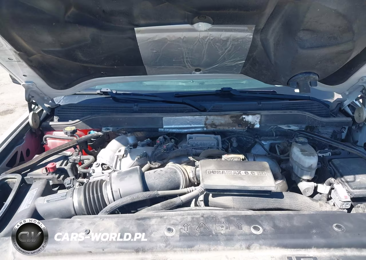 2019 Chevrolet Silverado 2500Hd Wt VIN:1GC1KREY1KF241549 - 10