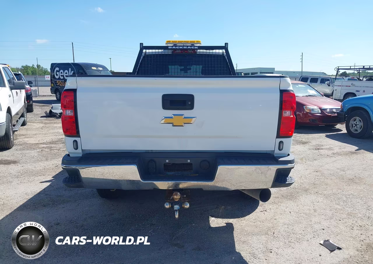 2019 Chevrolet Silverado 2500Hd Wt VIN:1GC1KREY1KF241549 - 18