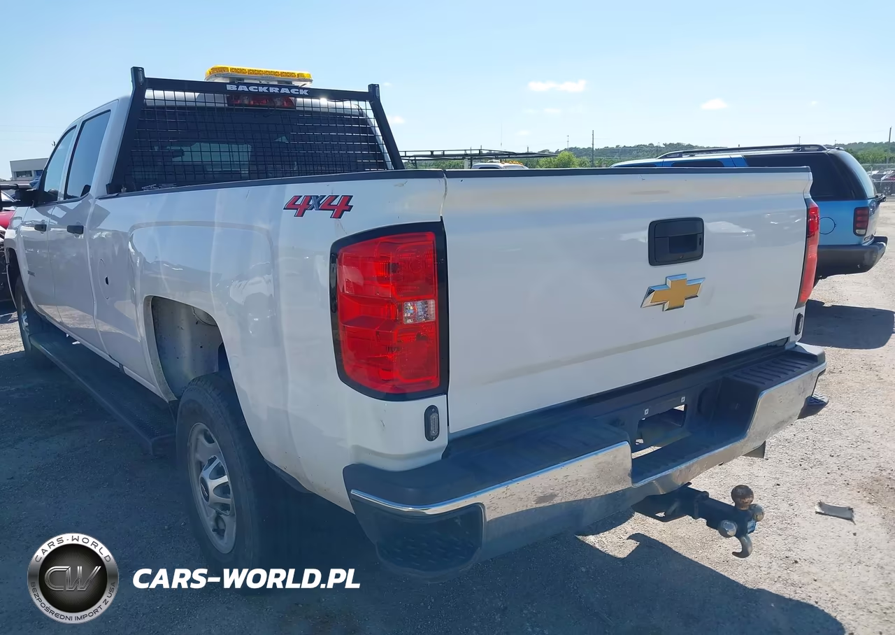 2019 Chevrolet Silverado 2500Hd Wt VIN:1GC1KREY1KF241549 - 3