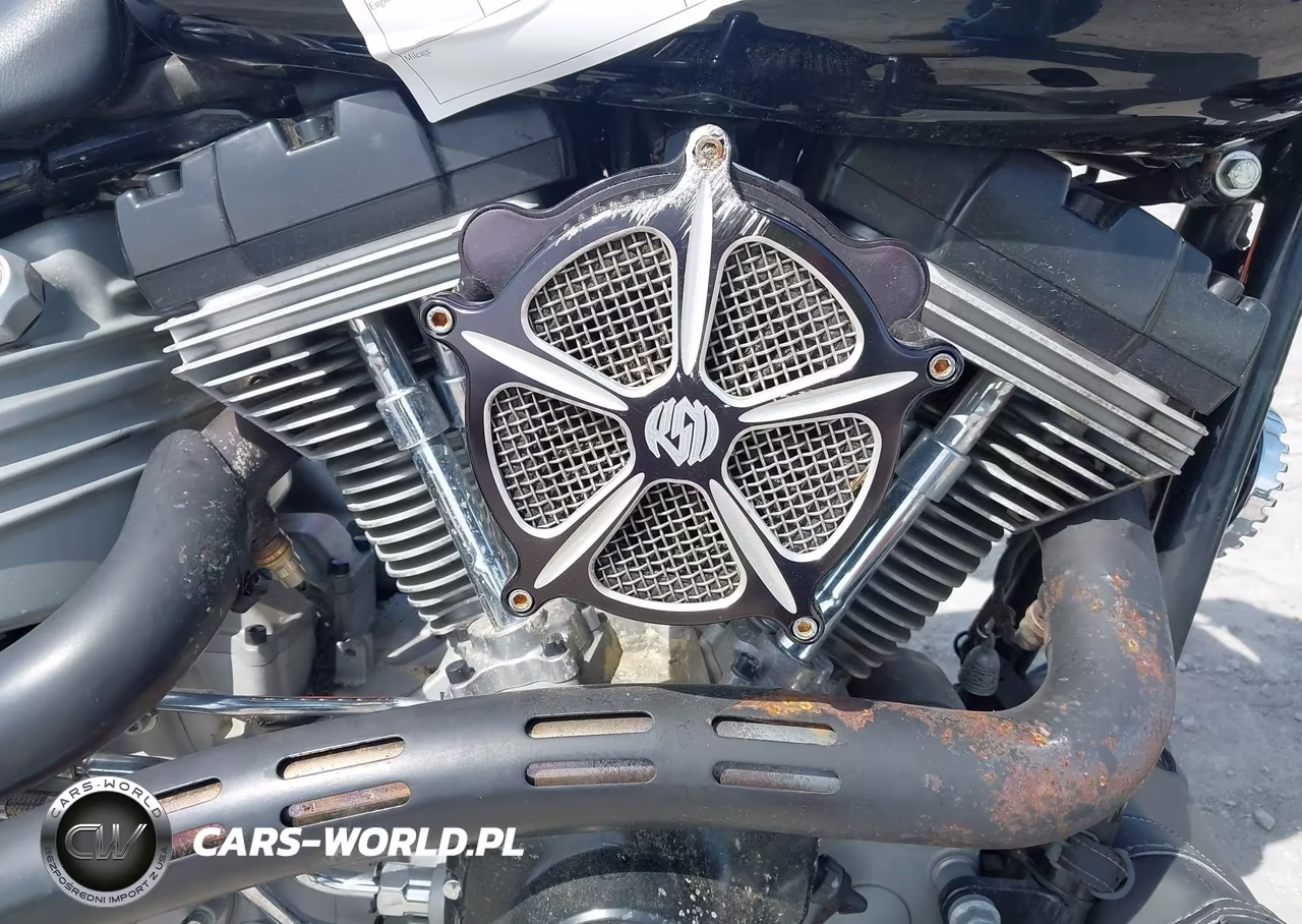 2009 Harley-Davidson Fxcw VIN:1HD1JJ5199Y034962 - 8