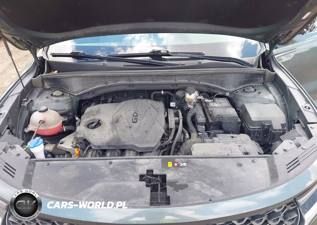 2023 Kia Sorento X-Line S VIN:5XYRLDLC5PG235638 - 10