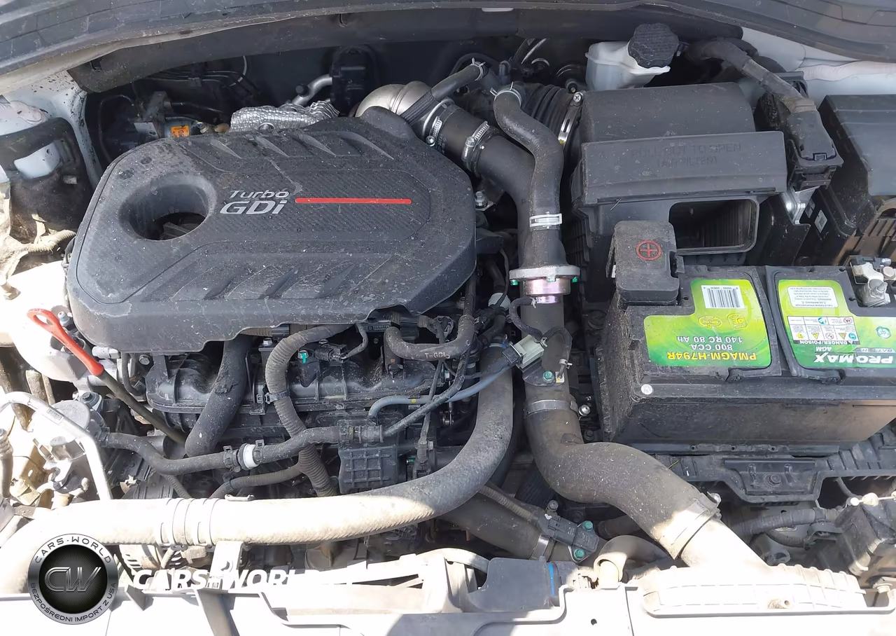 2019 Hyundai Santa Fe Ultimate 2.0T VIN:5NMS53AA2KH019865 - 10