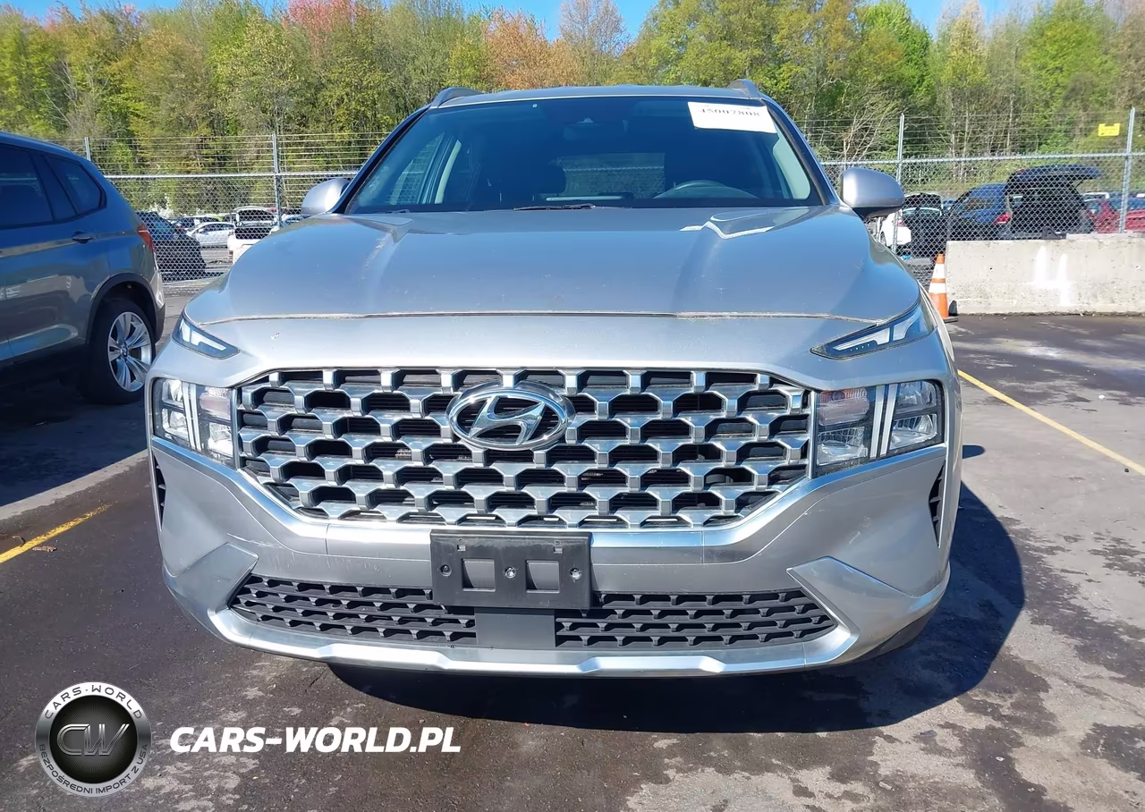 2021 Hyundai Santa Fe Sel VIN:5NMS2DAJ4MH368169 - 12