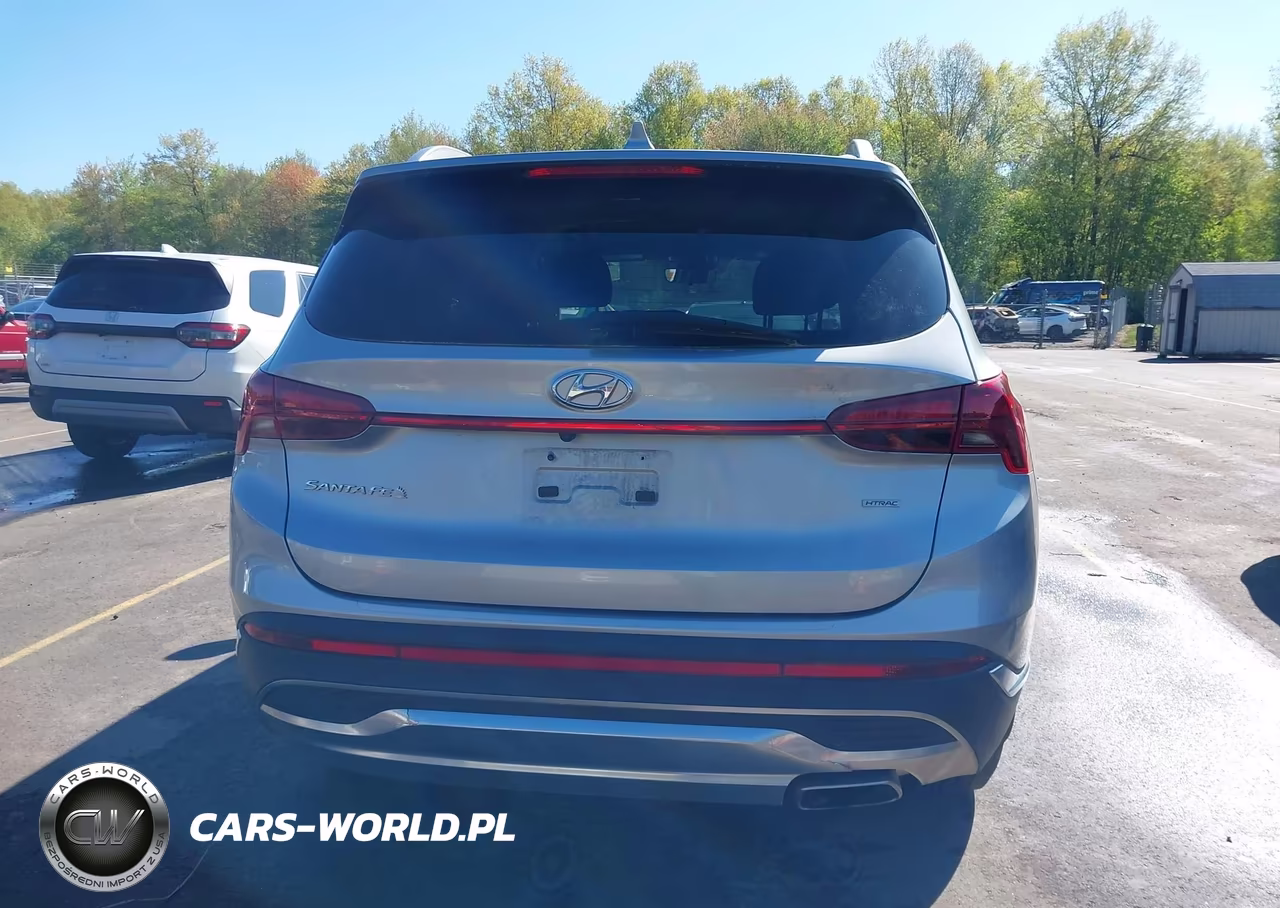 2021 Hyundai Santa Fe Sel VIN:5NMS2DAJ4MH368169 - 16