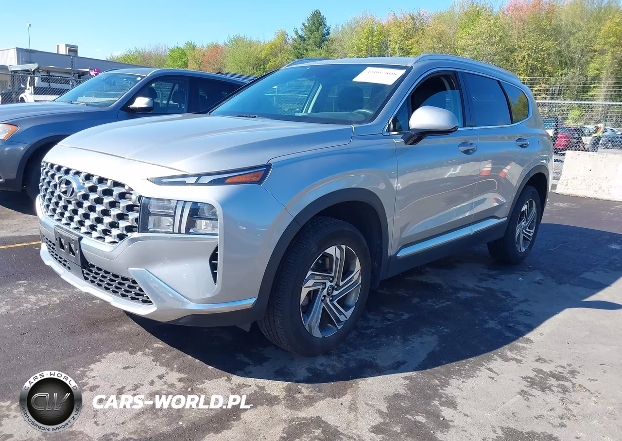 2021 Hyundai Santa Fe Sel VIN:5NMS2DAJ4MH368169 - 2