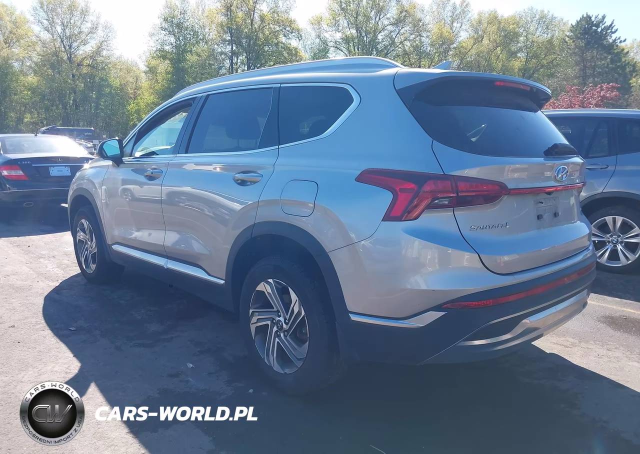 2021 Hyundai Santa Fe Sel VIN:5NMS2DAJ4MH368169 - 3