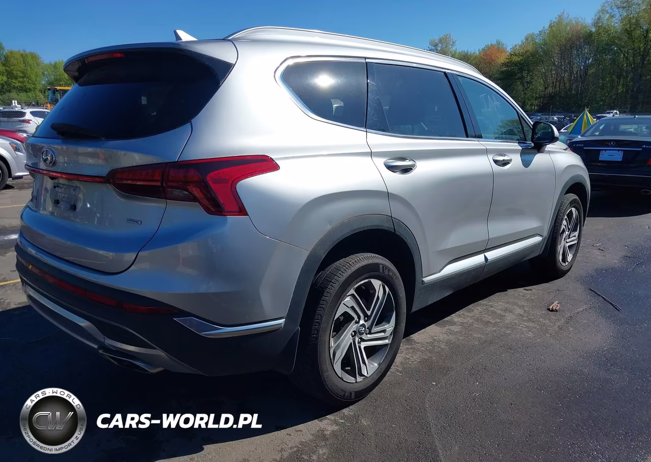 2021 Hyundai Santa Fe Sel VIN:5NMS2DAJ4MH368169 - 4