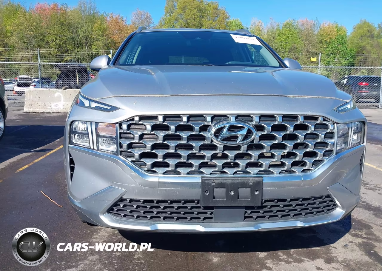 2021 Hyundai Santa Fe Sel VIN:5NMS2DAJ4MH368169 - 6