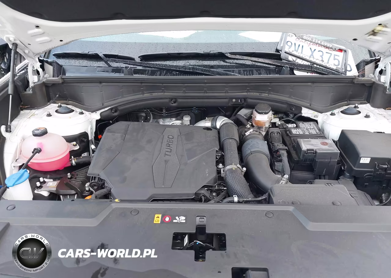 2025 Hyundai Santa Fe Sel VIN:5NMP24GL0SH121310 - 10