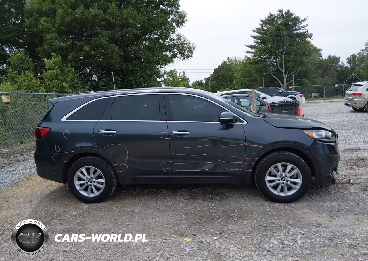 2020 Kia Sorento 2.4L Lx VIN:5XYPG4A3XLG644534 - 13
