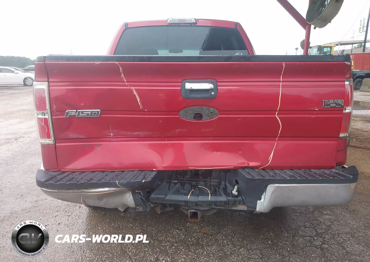 2009 Ford F-150 Xl-Xlt VIN:1FTRW128X9FA80030 - 6
