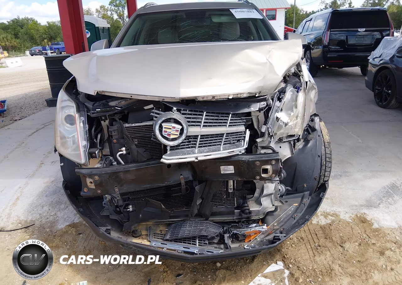 2012 Cadillac Srx Luxury Collection VIN:3GYFNAE31CS513379 - 11