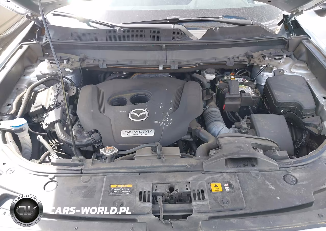 2019 Mazda Cx-9 Touring VIN:JM3TCBCY9K0310322 - 10
