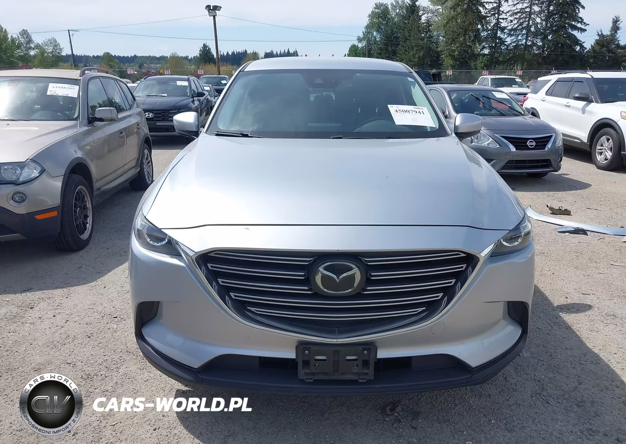 2019 Mazda Cx-9 Touring VIN:JM3TCBCY9K0310322 - 13