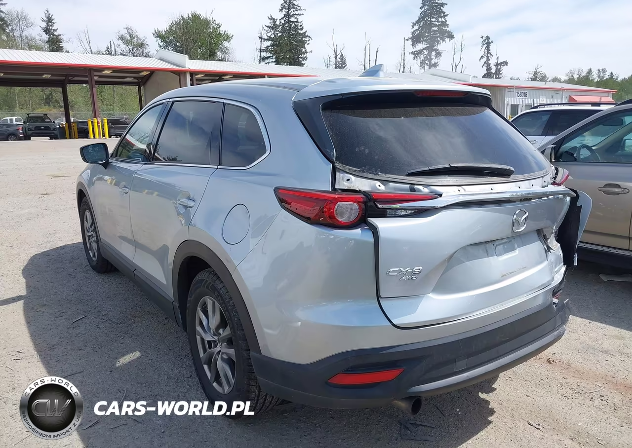 2019 Mazda Cx-9 Touring VIN:JM3TCBCY9K0310322 - 3