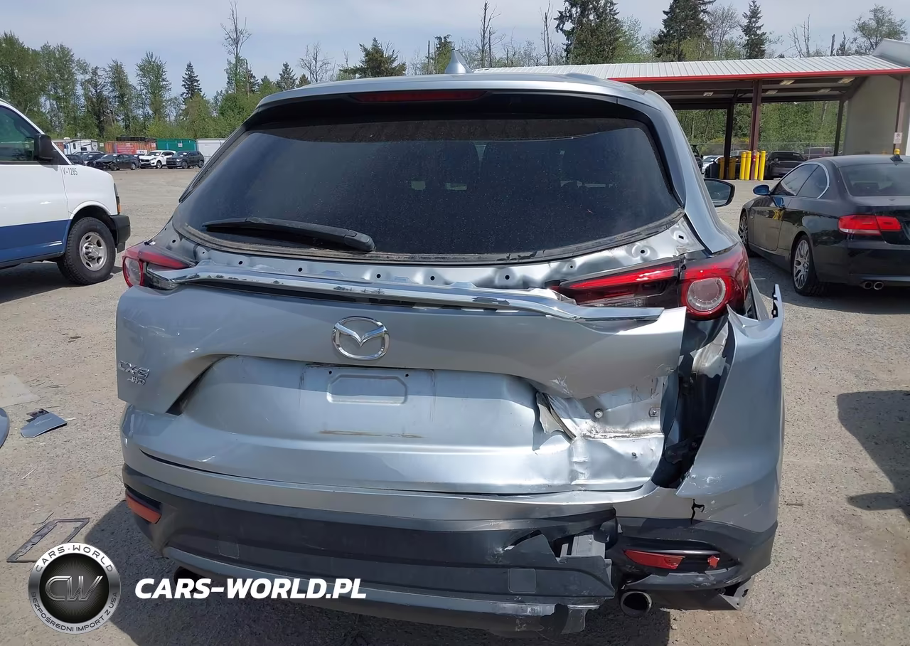 2019 Mazda Cx-9 Touring VIN:JM3TCBCY9K0310322 - 6
