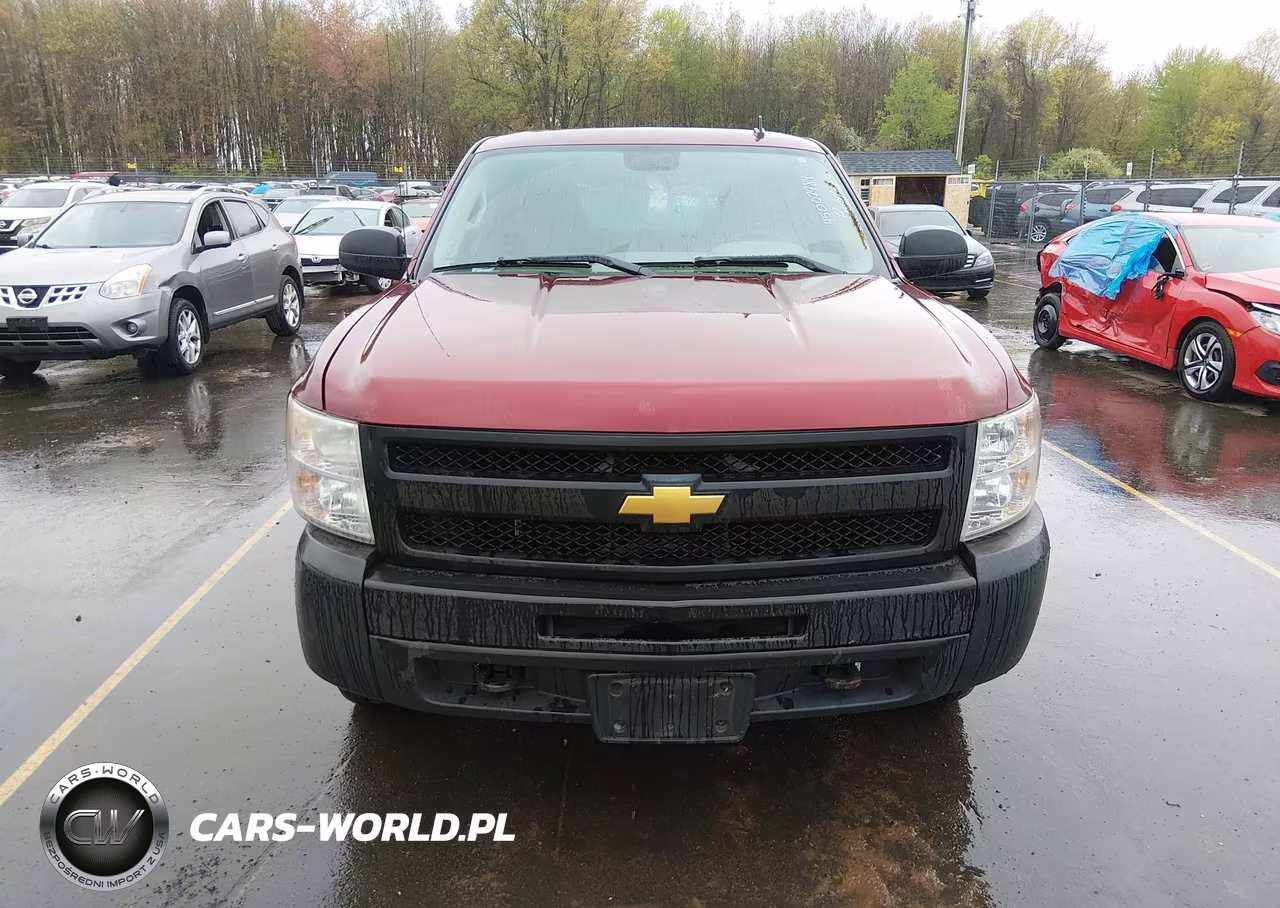 2009 Chevrolet Silverado 1500 Work Truck VIN:1GCEK19C19Z139727 - 12