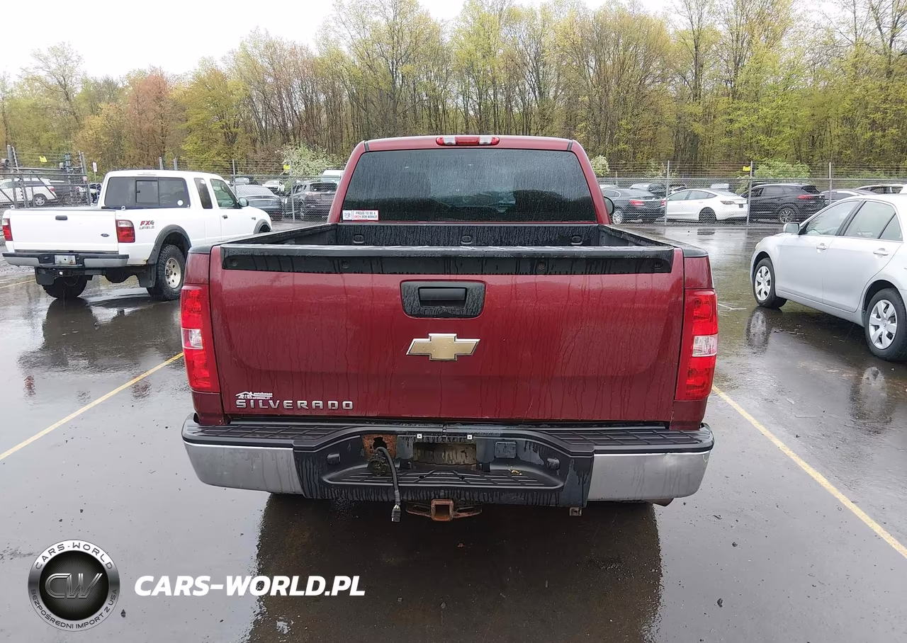 2009 Chevrolet Silverado 1500 Work Truck VIN:1GCEK19C19Z139727 - 16
