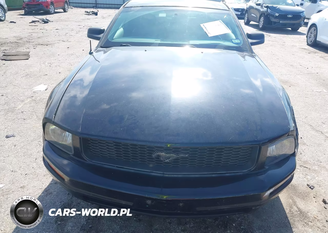 2006 Ford Mustang V6 VIN:1ZVFT80N965181149 - 12