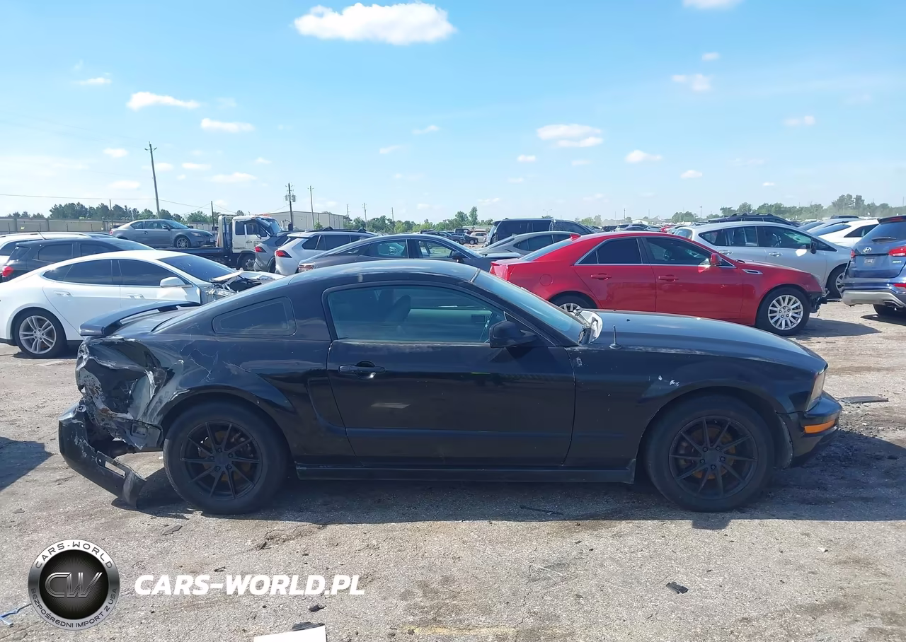 2006 Ford Mustang V6 VIN:1ZVFT80N965181149 - 13
