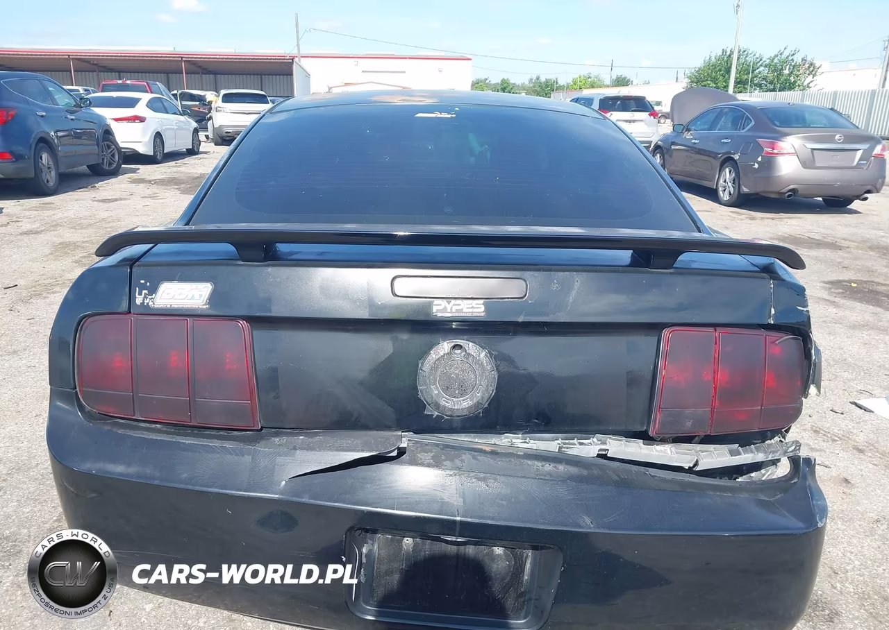 2006 Ford Mustang V6 VIN:1ZVFT80N965181149 - 16