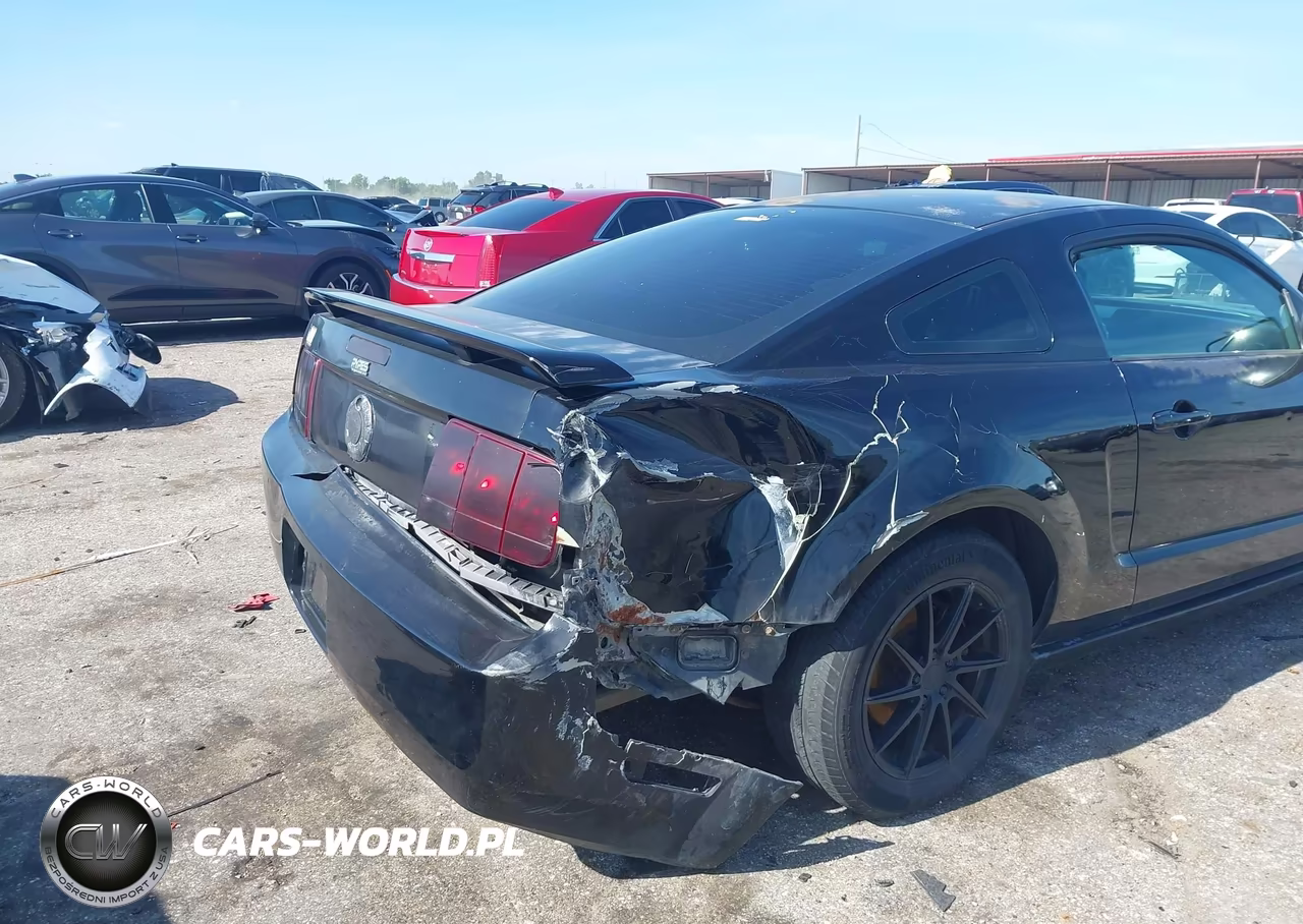 2006 Ford Mustang V6 VIN:1ZVFT80N965181149 - 6