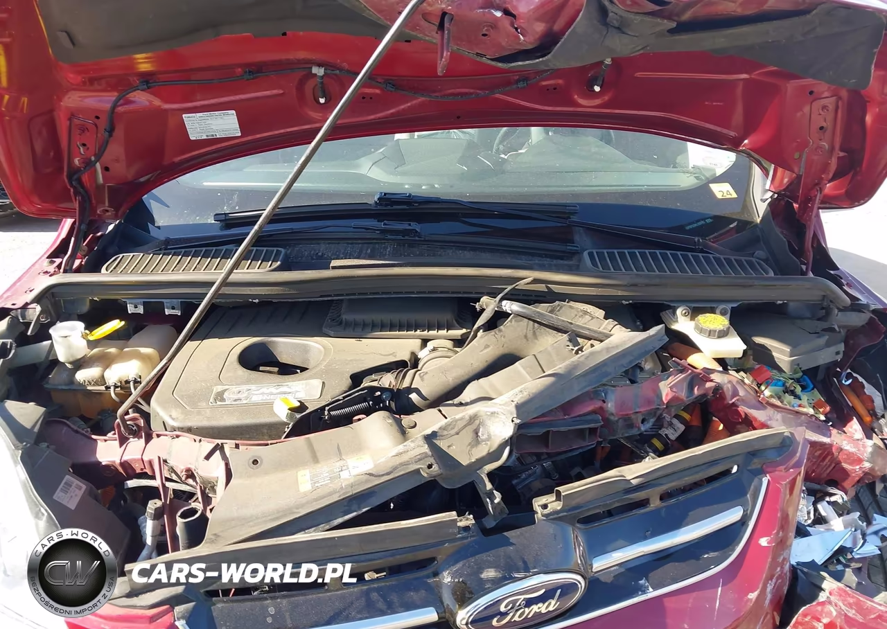 2017 Ford C-Max Energi Titanium VIN:1FADP5FU3HL103787 - 10