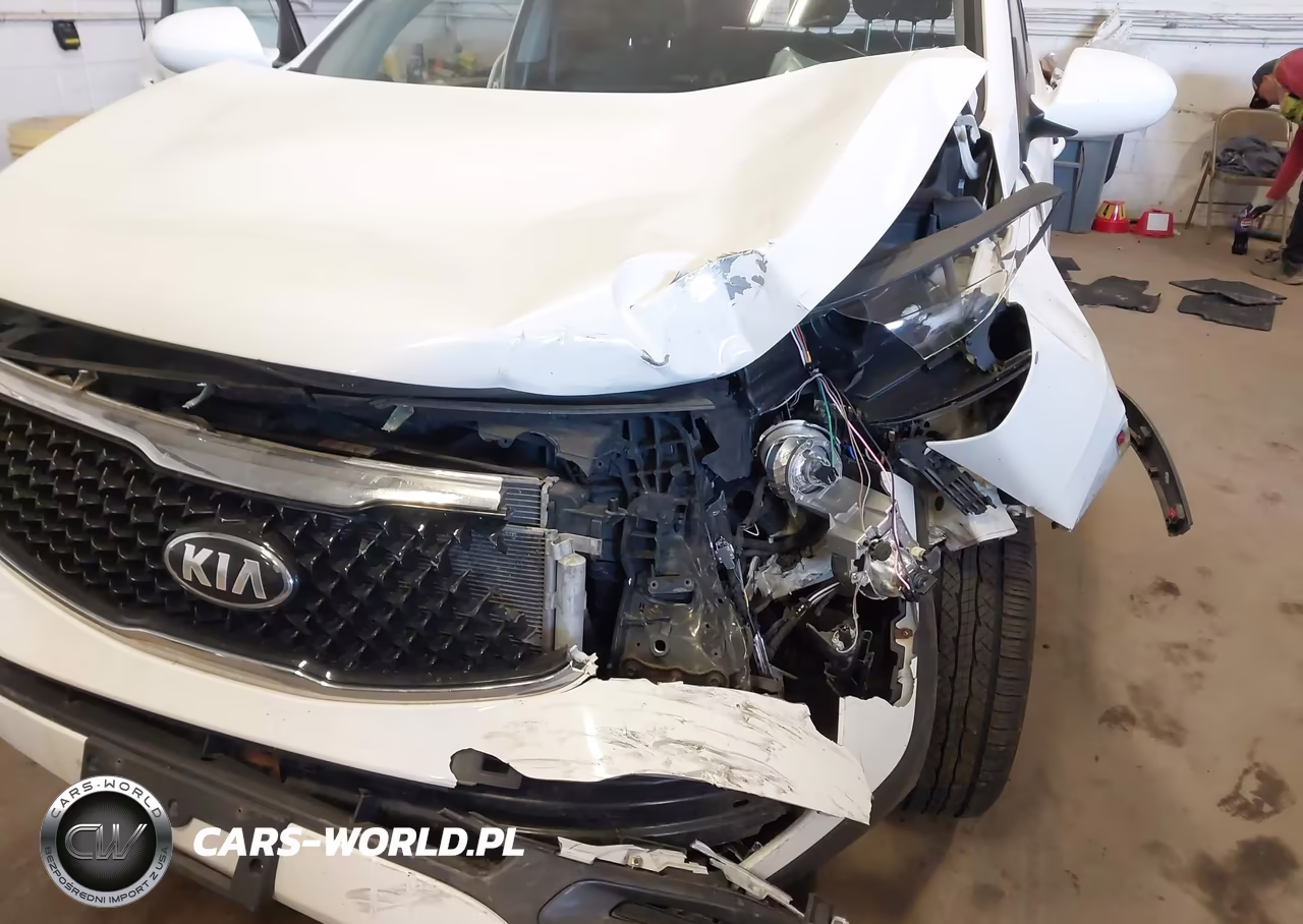 2016 Kia Sportage Lx VIN:KNDPBCAC4G7875828 - 6