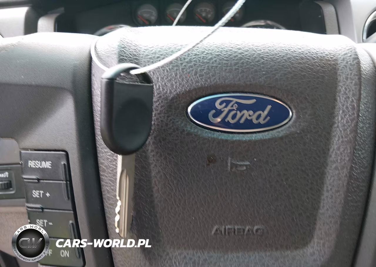 2010 Ford F-150 Fx2 Sport-Harley-Davidson-King Ranch-Lariat-Platinum-Xl-Xlt VIN:1FTFW1CV8AFC23245 - 11